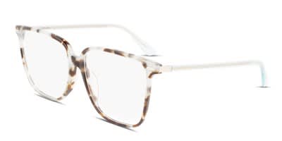 Calvin Klein CK22543