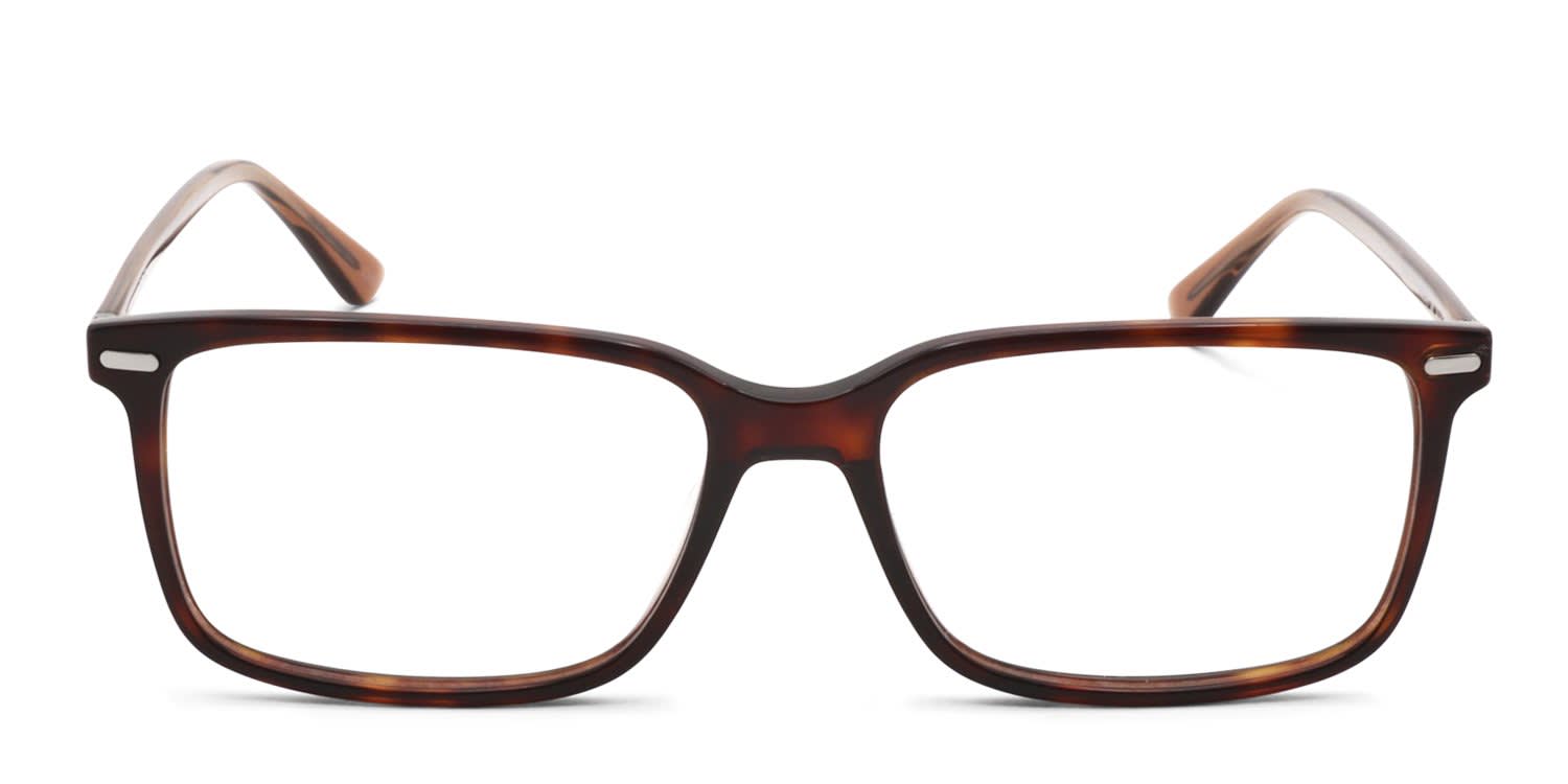 Calvin Klein CK22542 Tortoise glasses - Tortoise - Frontal View