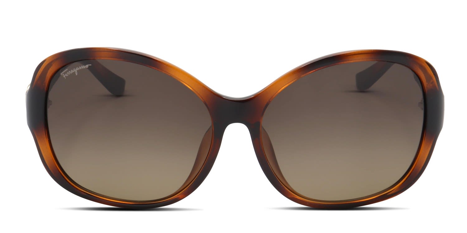 Ferragamo SF744SLA Tortoise, Brown glasses - Tortoise / Brown - Frontal View