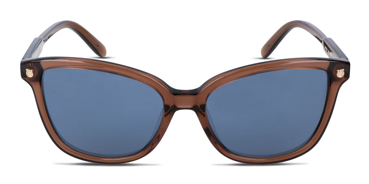 Ferragamo SF910S multicolor, brown frame with blue lenses. Lenses