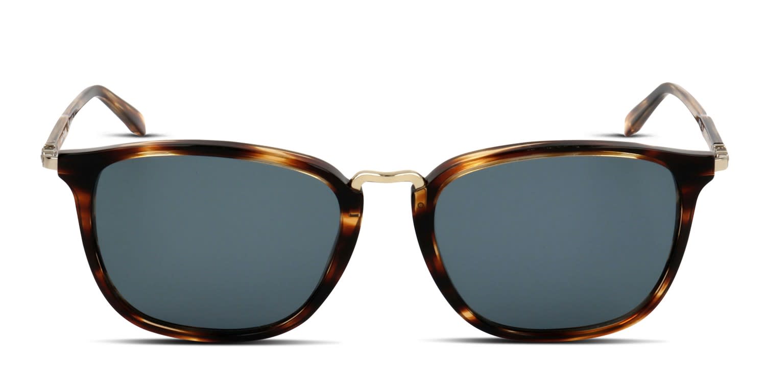 Ferragamo SF910S Multicolor, Brown, Blue glasses - Multicolor / Brown / Blue - Frontal View