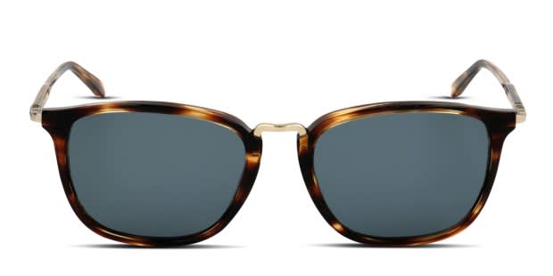 Ferragamo SF910S multicolor, brown frame with blue lenses  display picture 3