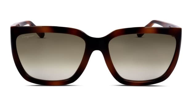 Ferragamo SF1018S tortoise frame with gradient brown lenses