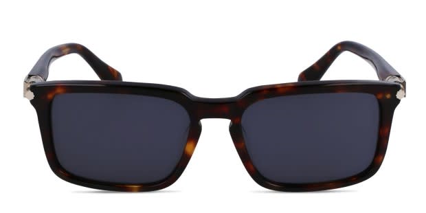 Shop Ferragamo Sunglasses | Free Shipping & Returns