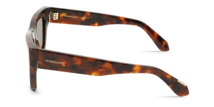 Ferragamo SF2105S Tortoise glasses - Tortoise - Side View