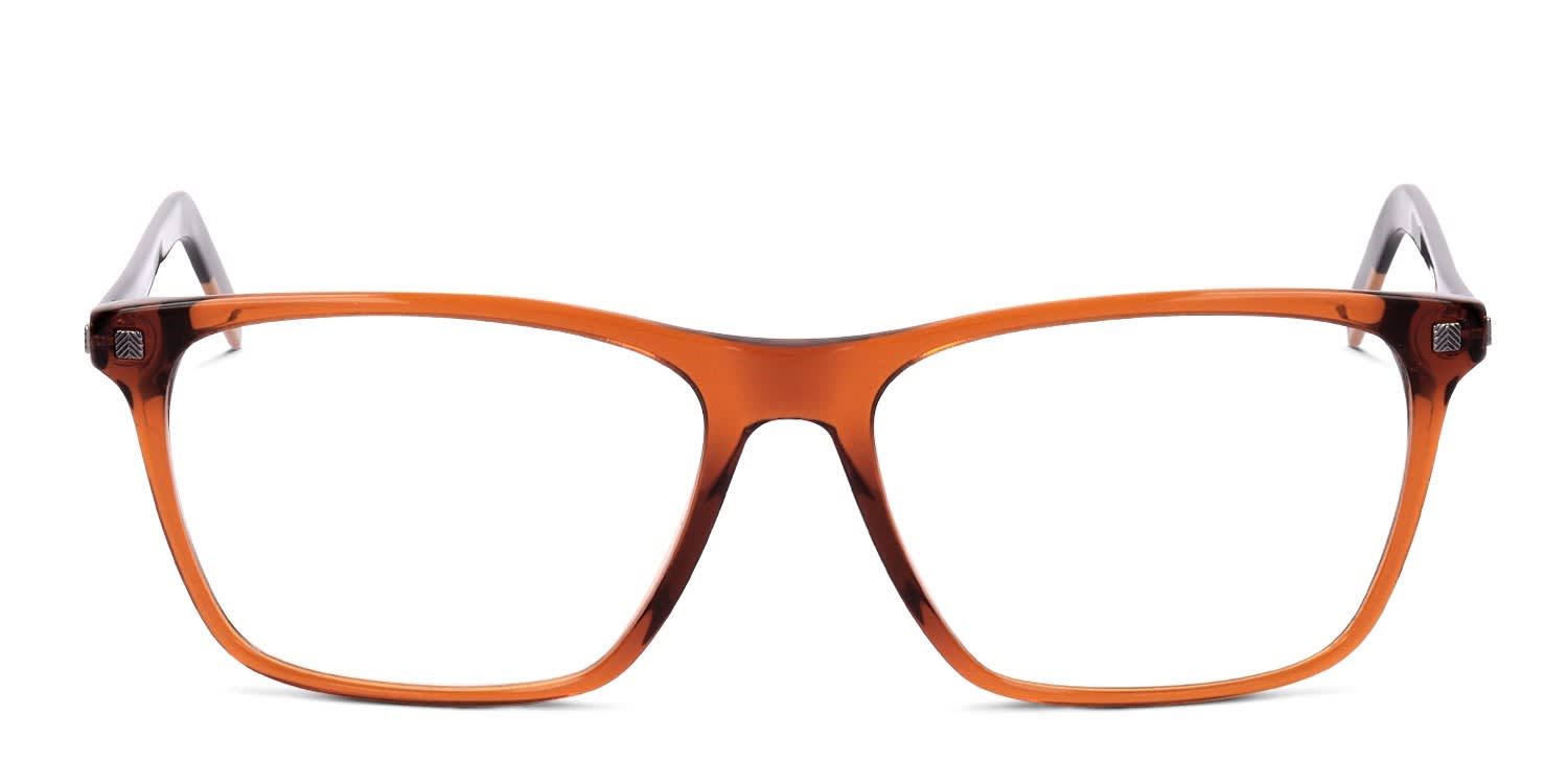 Ermenegildo Zegna EZ5161 Brown glasses - Brown - Frontal View