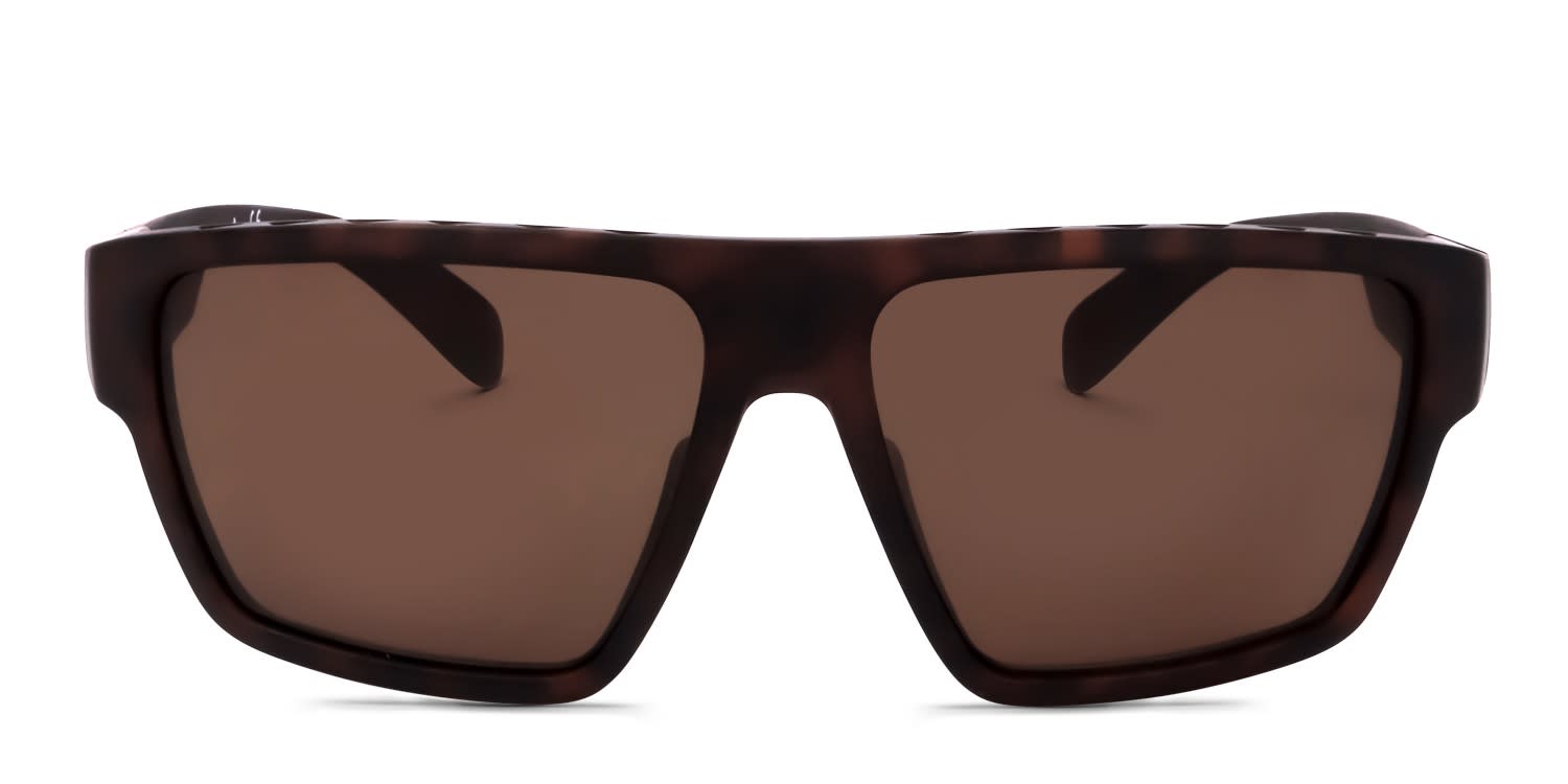 Polaroid PLD 6046/S/X Tortoise/Gold Prescription Sunglasses