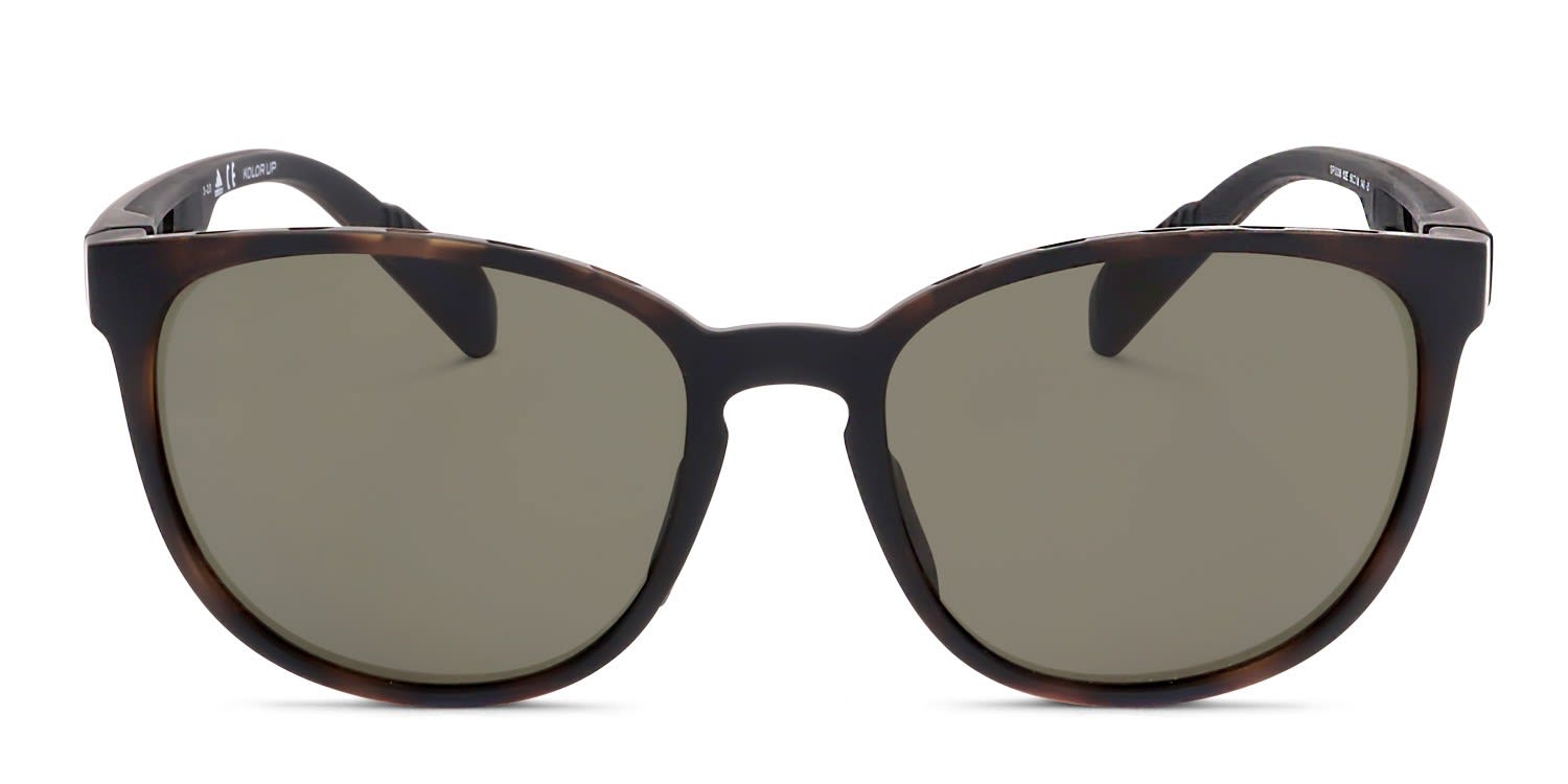 Adidas SP0036 Brown, Tortoise glasses - Brown / Tortoise - Frontal View