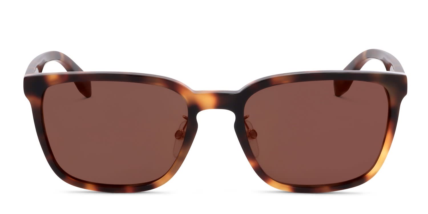 Adidas AOR023 Tortoise, Black, Brown Prescription Sunglasses Adidas AOR023 Tortoise, Black, Brown Prescription Sunglasses