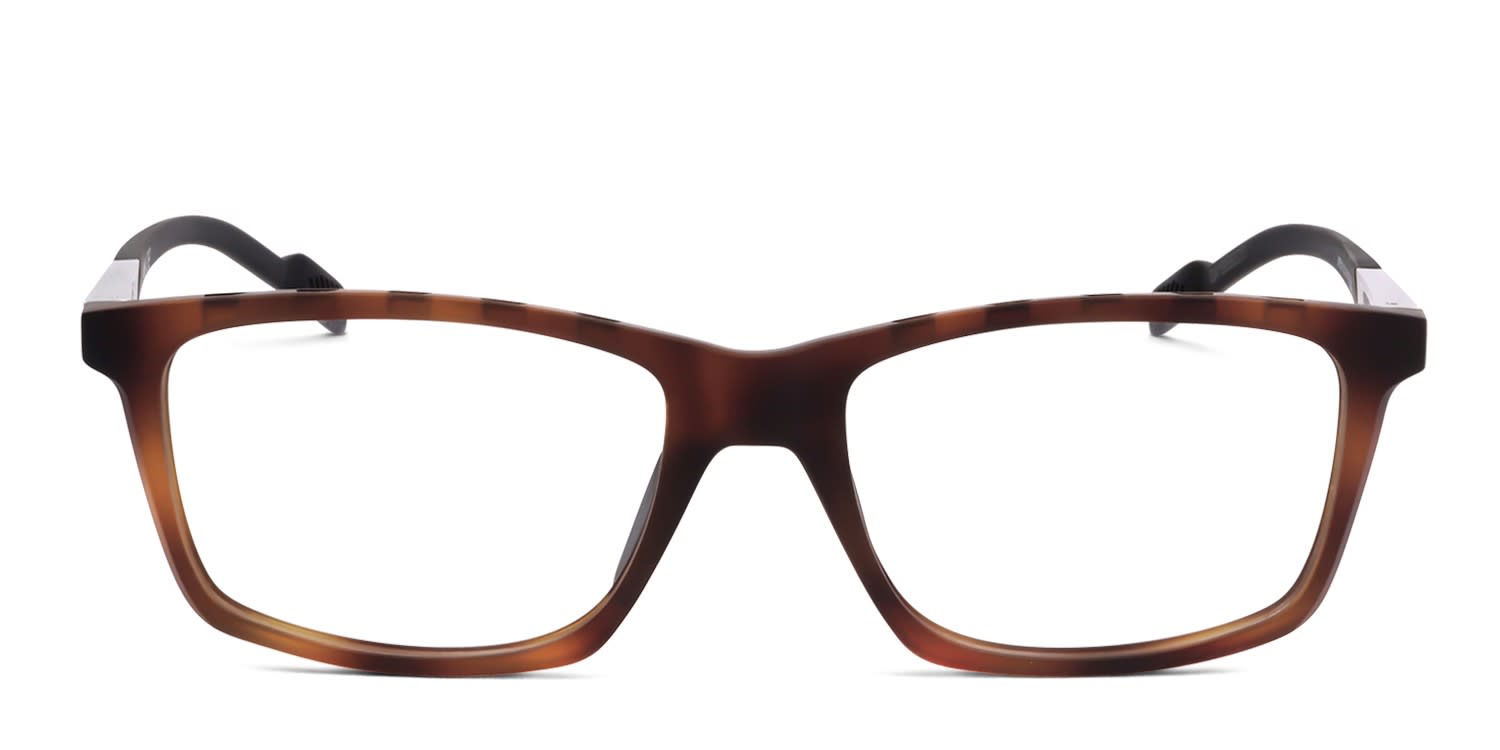 Adidas SP5013 Brown, Tortoise glasses - Brown / Tortoise - Frontal View
