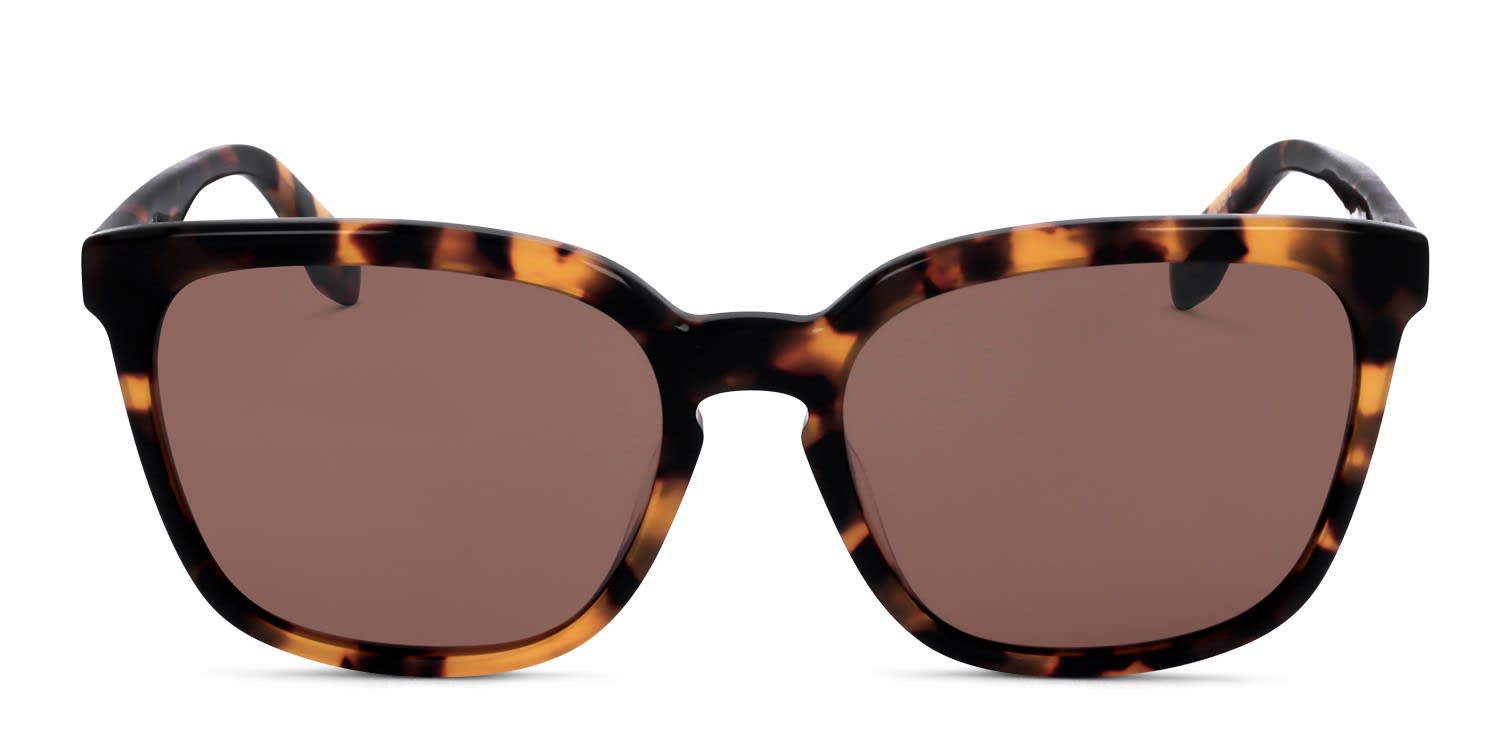 Adidas OR0061 Tortoise glasses - Tortoise - Frontal View