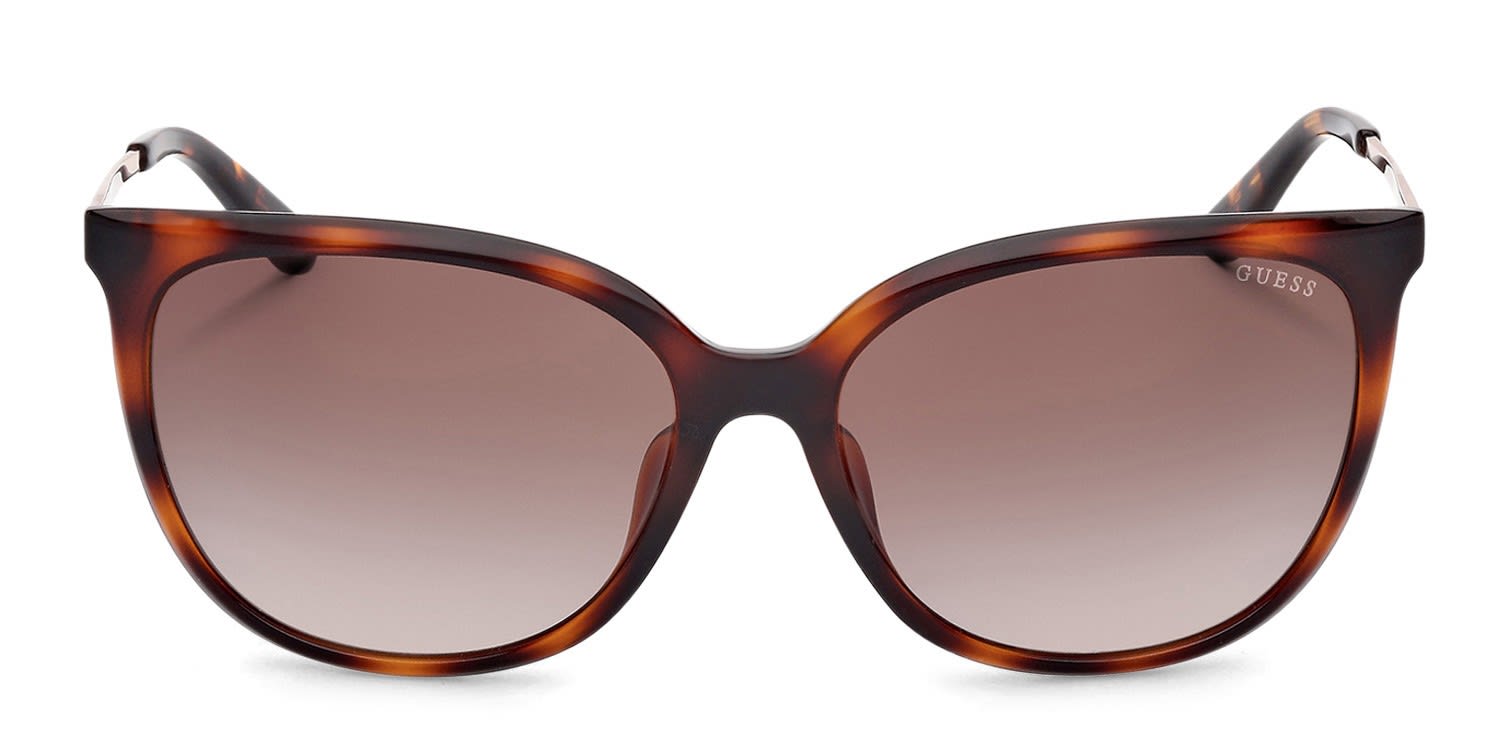 kashimaantlers1981 !2021年製!39V型 Coach HC8168 Brown, Tortoise Prescription Sunglasses - 50