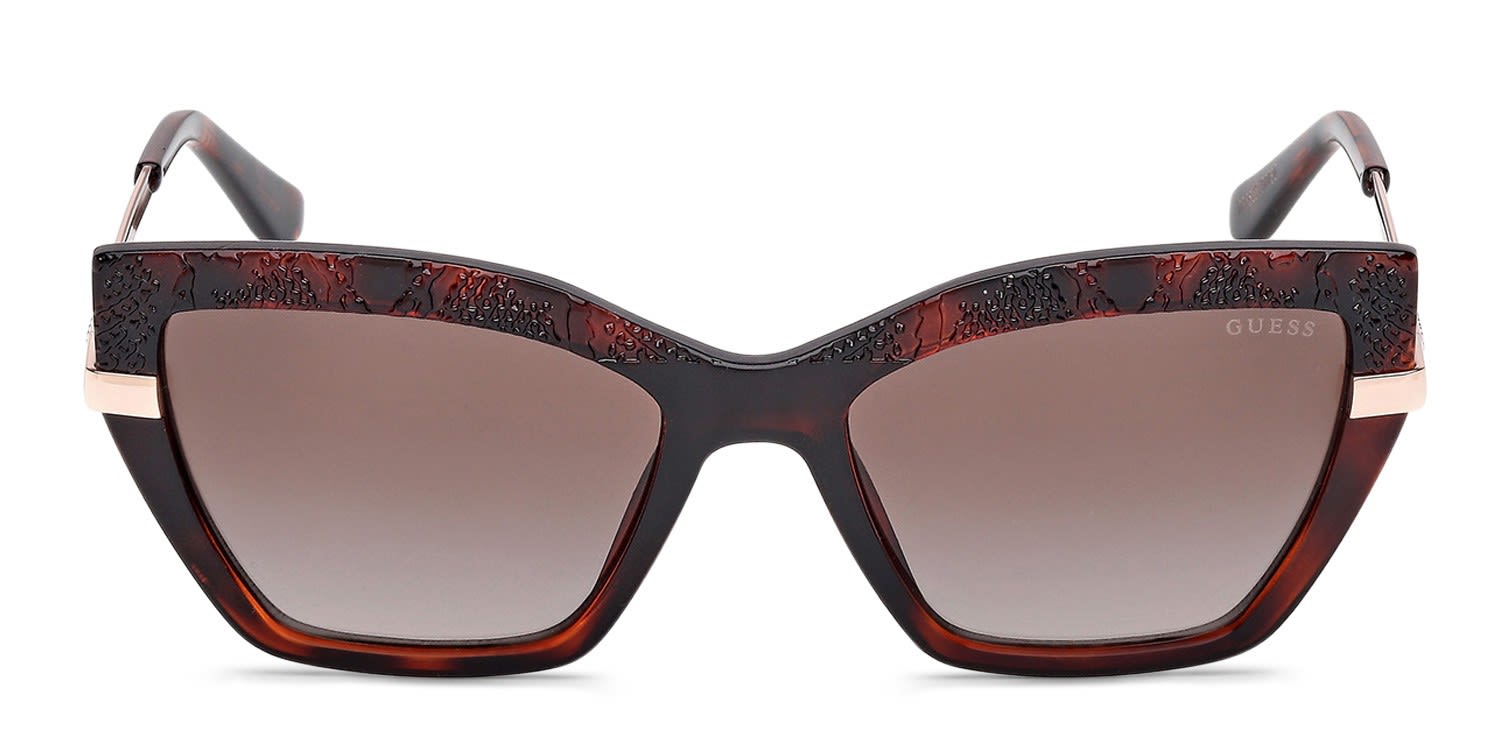 Balmain BL2107B tortoise frame with brown gradient lenses. Lenses