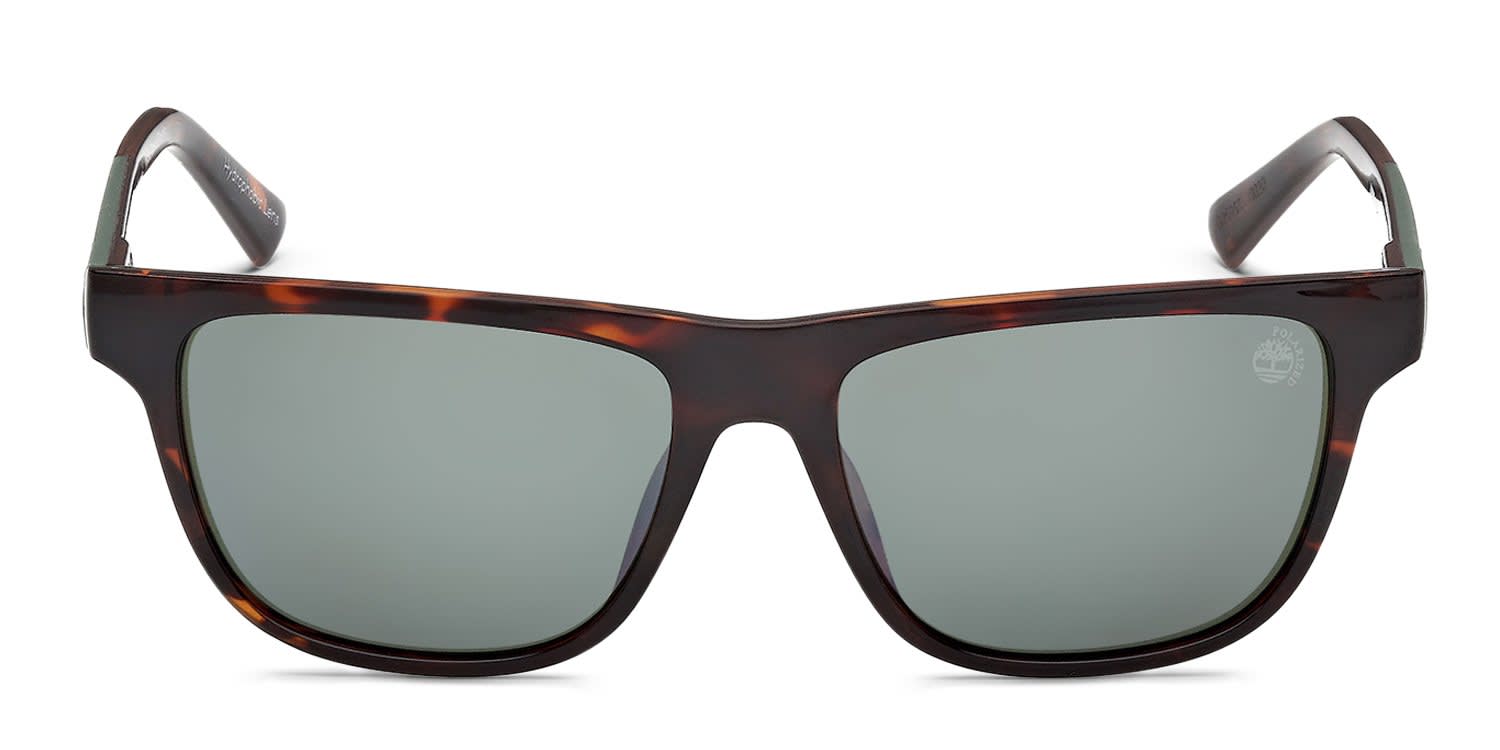 Timberland TB00069 Tortoise, Green glasses - Tortoise / Green - Frontal View