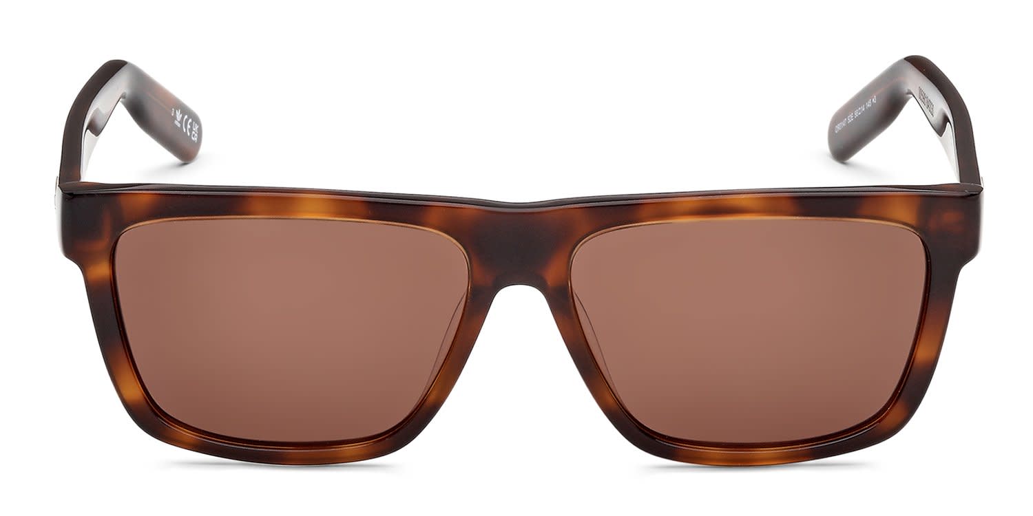 Sandro SDS1000F tortoise frame with brown lenses. Lenses provide