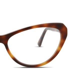frame