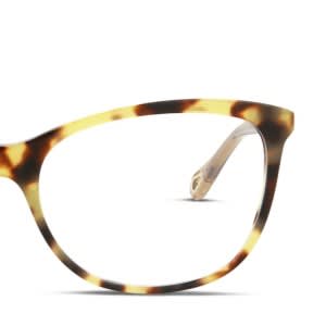 frame