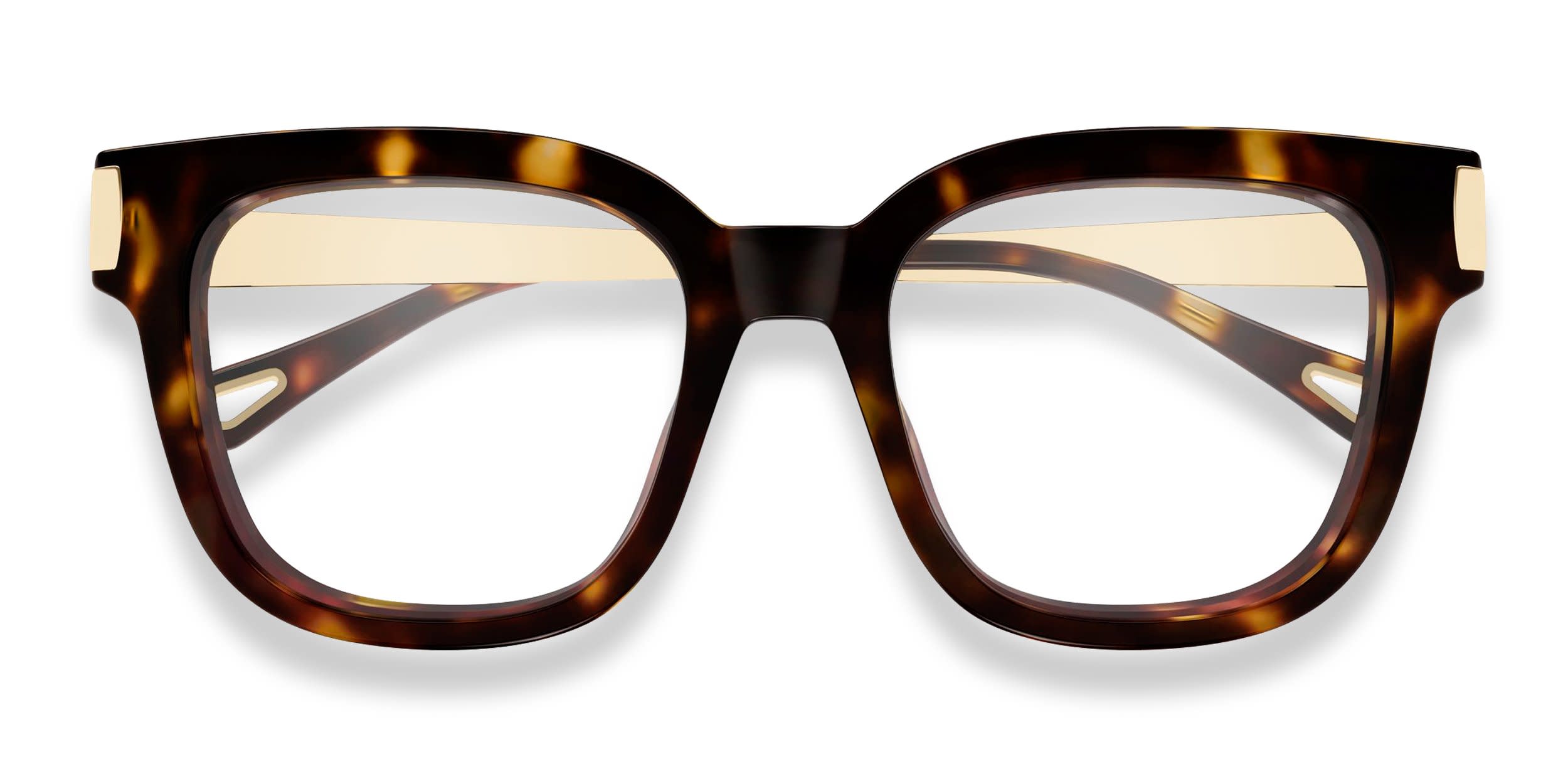 Chloe CH0353O Tortoise glasses - Tortoise - Frontal View