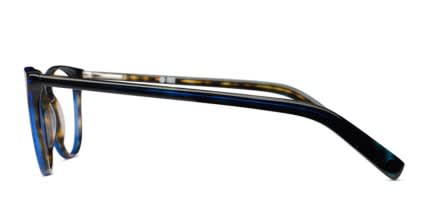 Muse M6443 Dark Blue Tortoise glasses - Blue / Tortoise - Side View