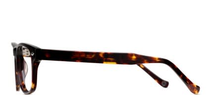 Muse M8061 Tortoise glasses - Tortoise - Side View