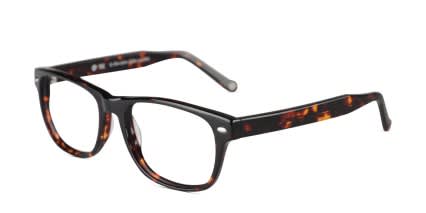 Muse M8061 Tortoise glasses - Tortoise - Angle View