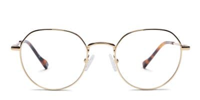 Le Specs Notoriety