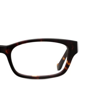 frame