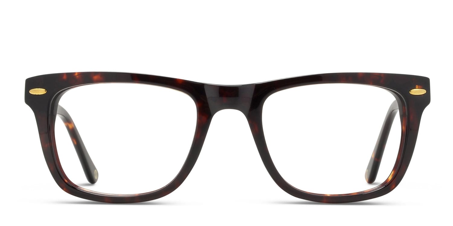 その他 EYE WEBB BROWN Muse Webb Brown/Tortoise Eyeglasses | Includes FREE Rx Lenses