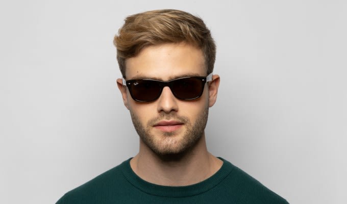 New wayfarer tortoise online