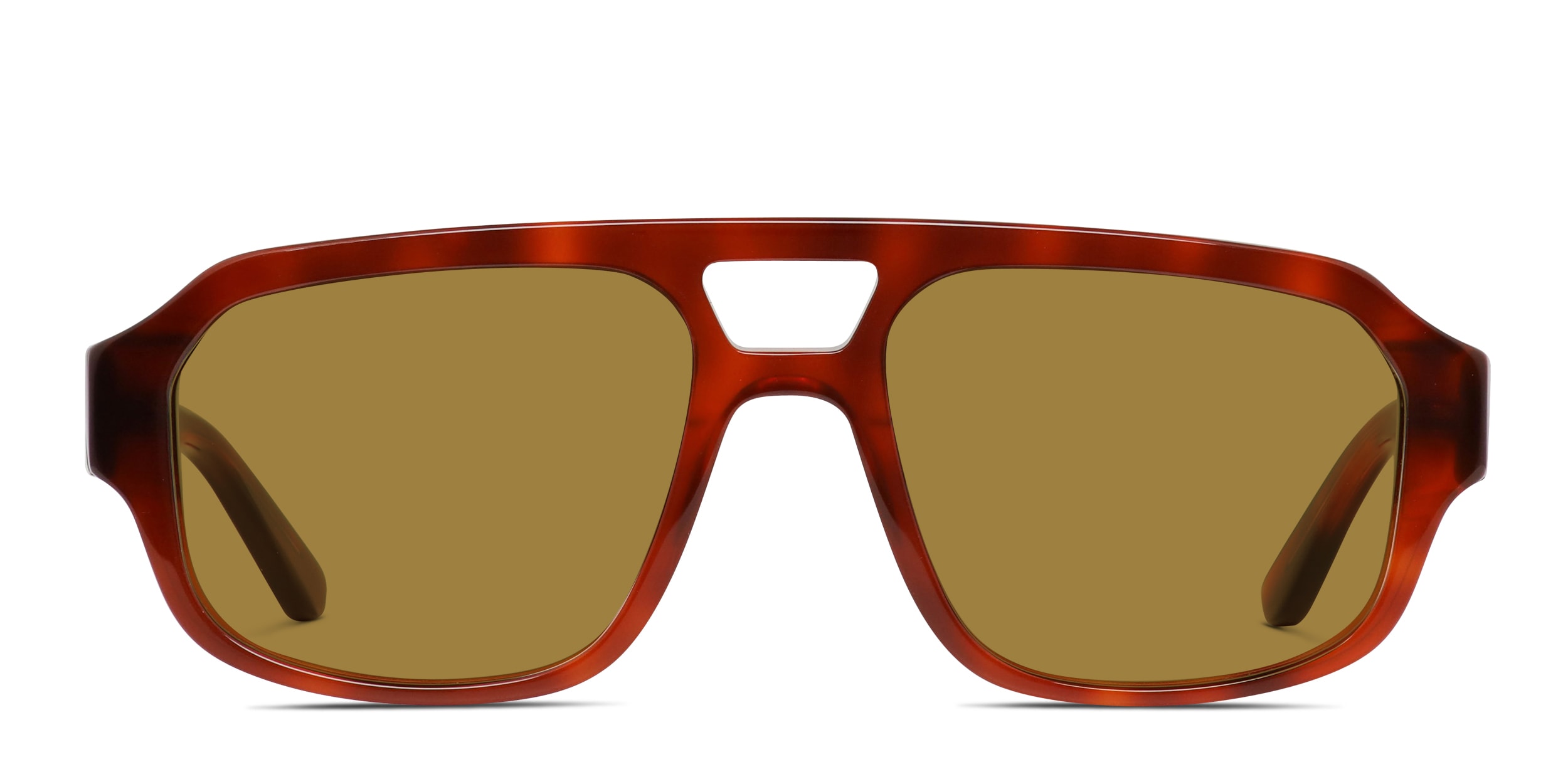Muse Hopkins Tortoise