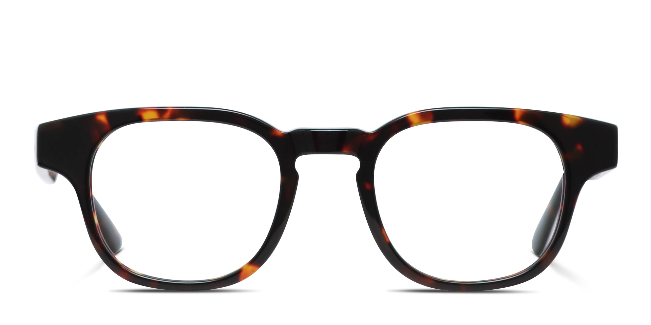 Muse Launch Tortoise