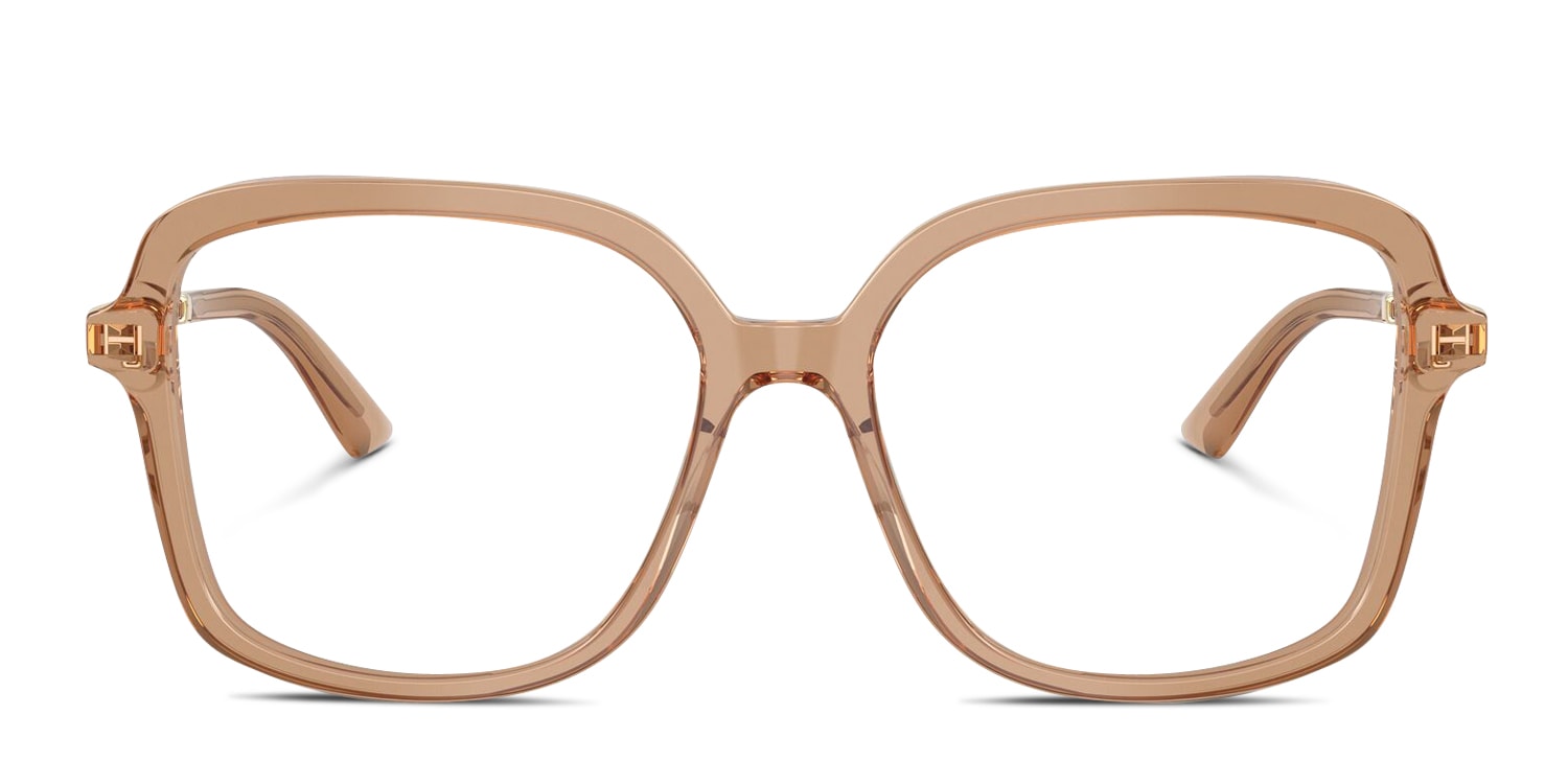 Jimmy Choo JC3061U Clear,Beige