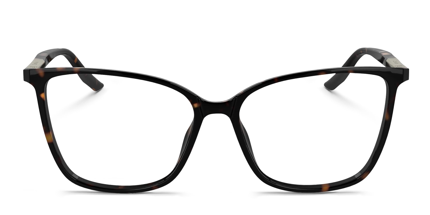 Calvin Klein CK24545 Brown,Tortoise