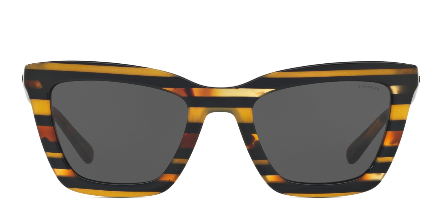 Coach HC8203 Multicolor/Gray