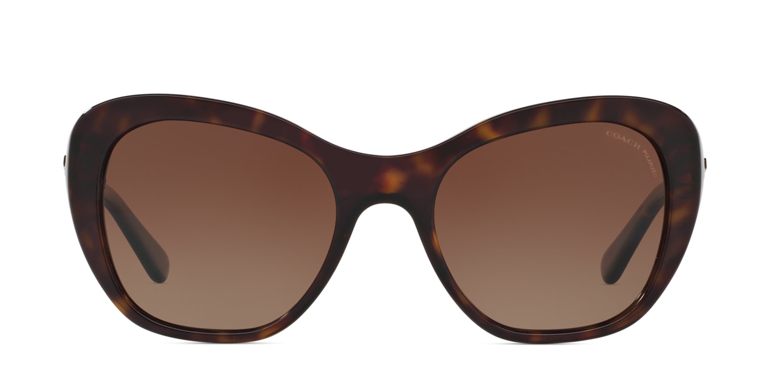 Coach HC8204 Brown/Tortoise