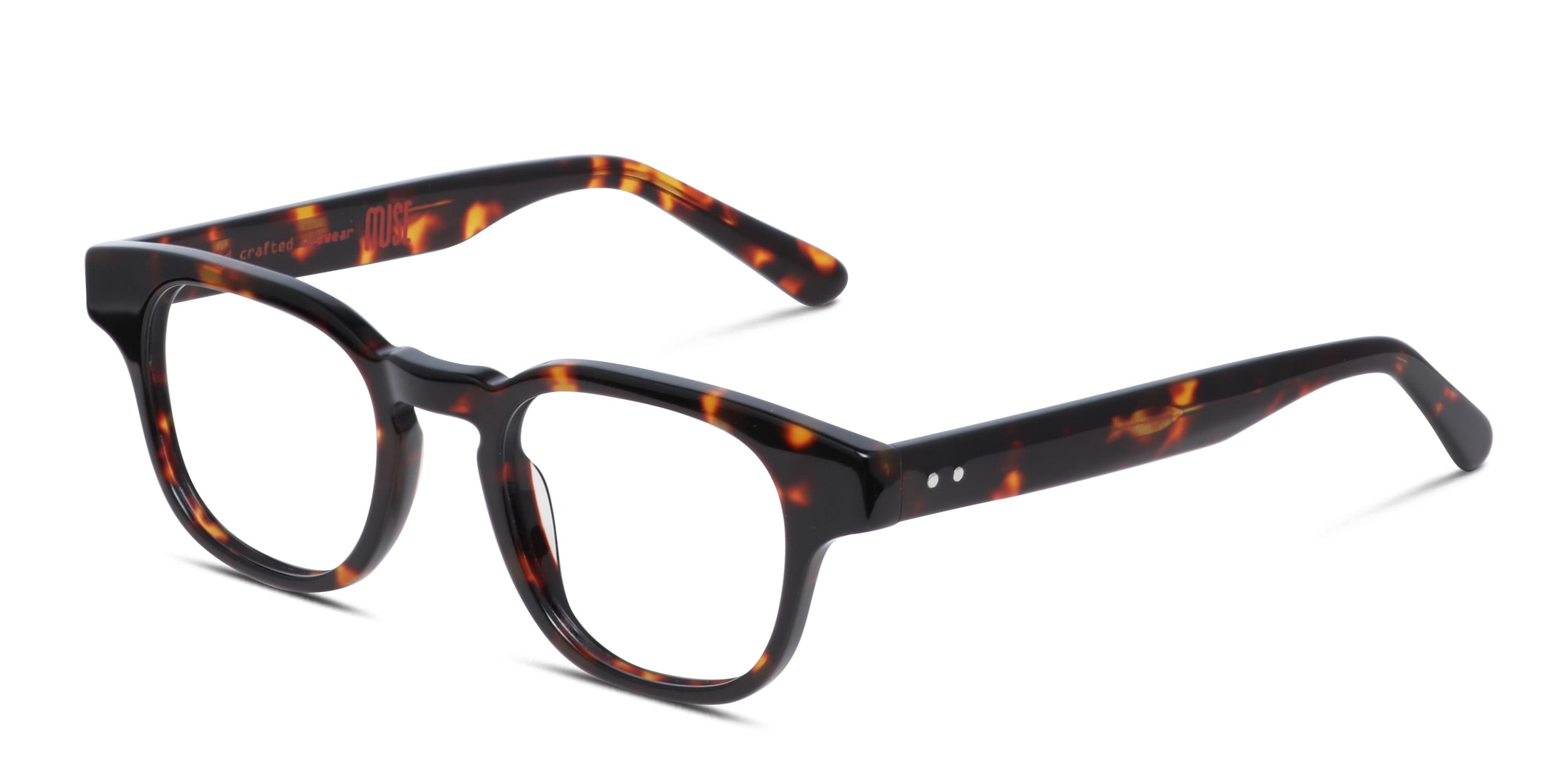 Muse Launch Tortoise In Tortoise
