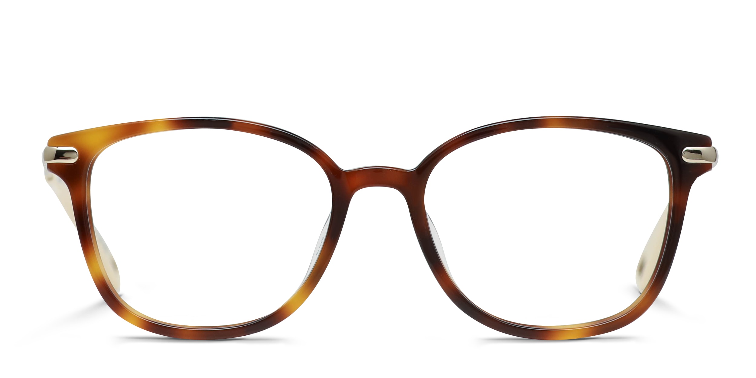 Chloe CH0219OA Tortoise