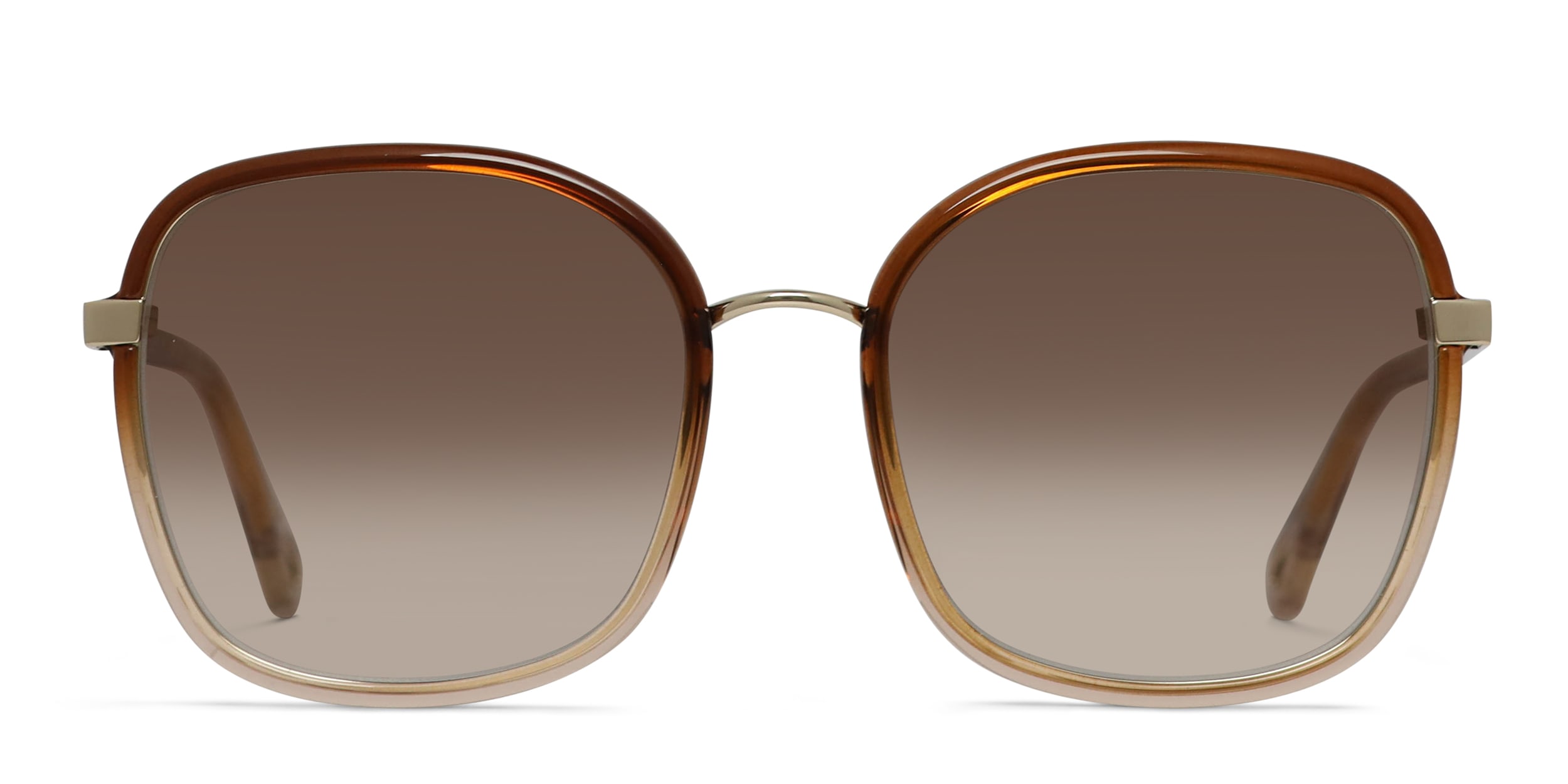 Chloe CH0031S Brown/Gold