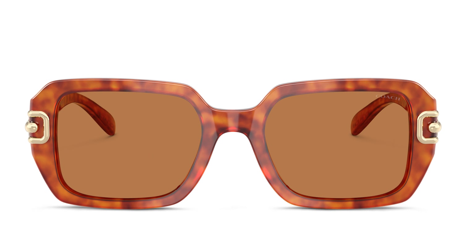Coach HC8425U Brown/Tortoise/Gold