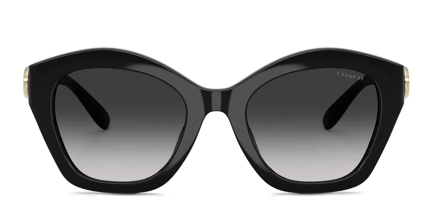 Coach HC8421U Black/Gray
