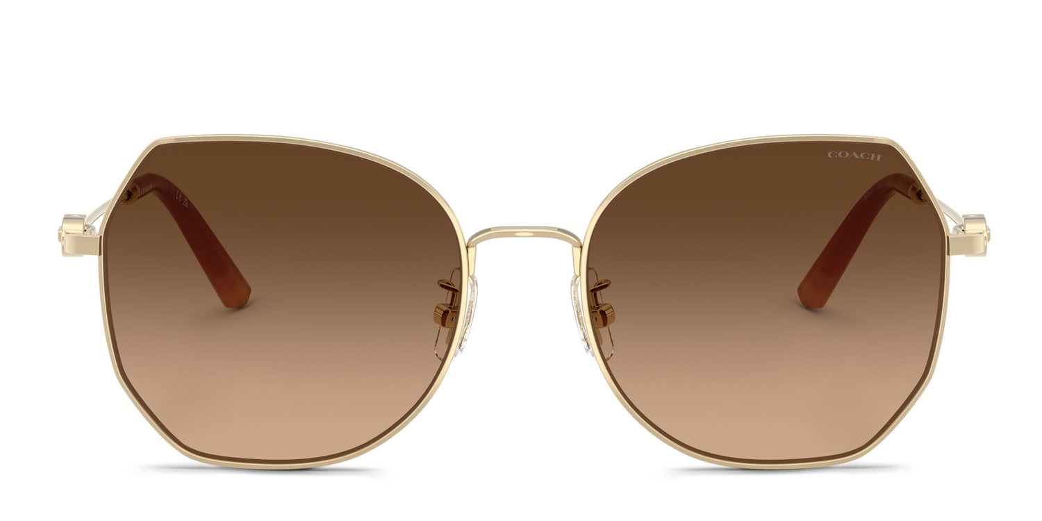 Coach HC7175 Brown/Gold