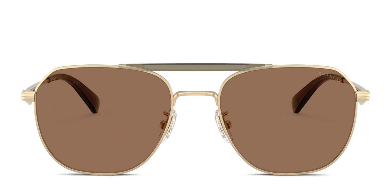 Coach HC7178 Brown/Gold/Green