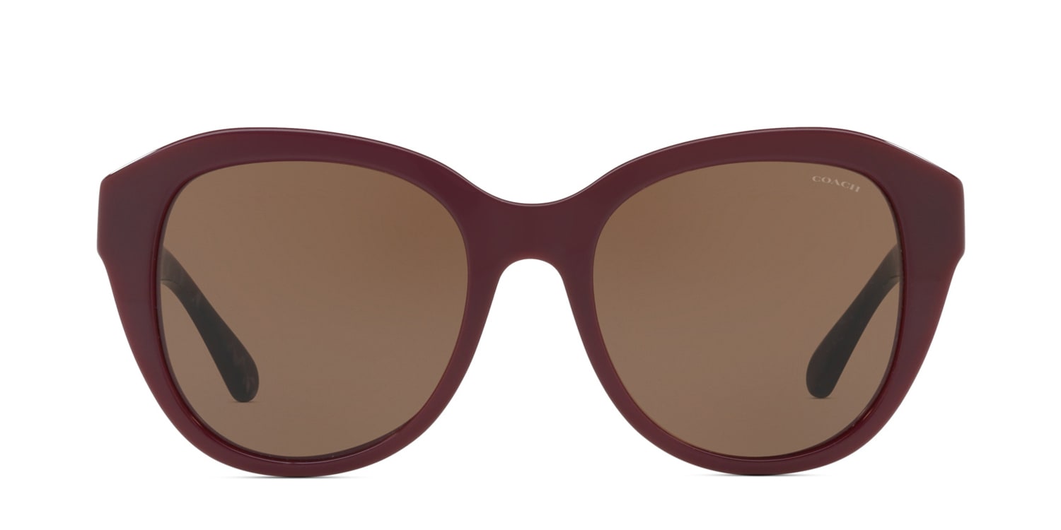 Coach HC8231 Brown/Red