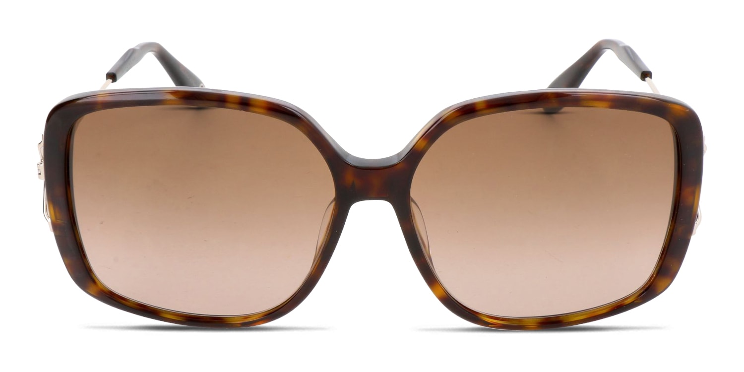 Givenchy GV7019/F/S Brown