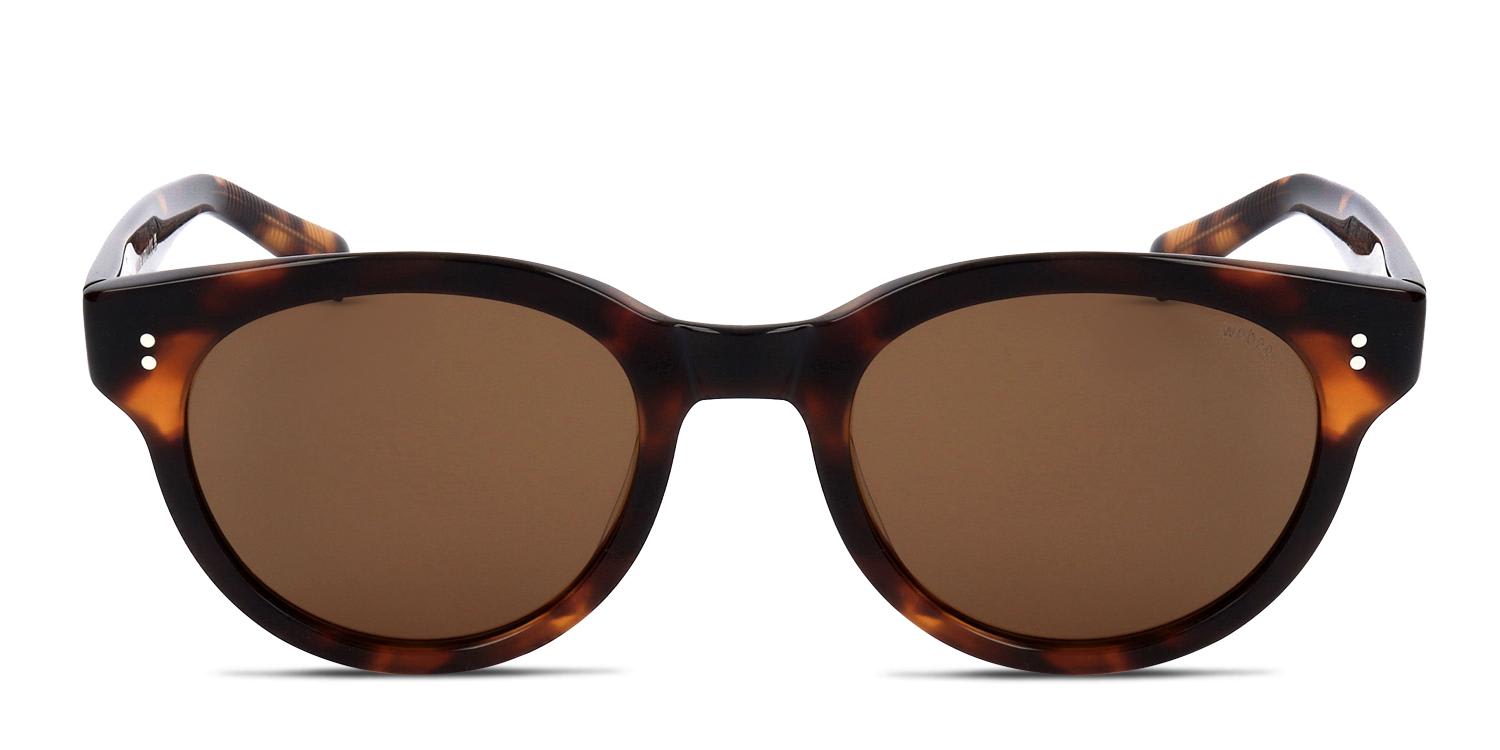 Webee Chestnut Tortoise