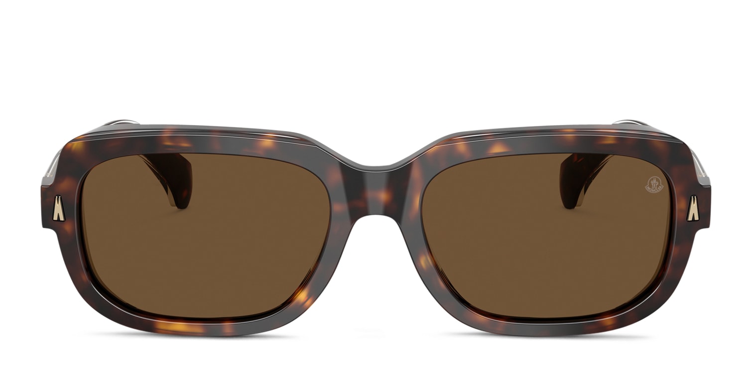 Moncler ME6008 Suntrap Brown/Tortoise
