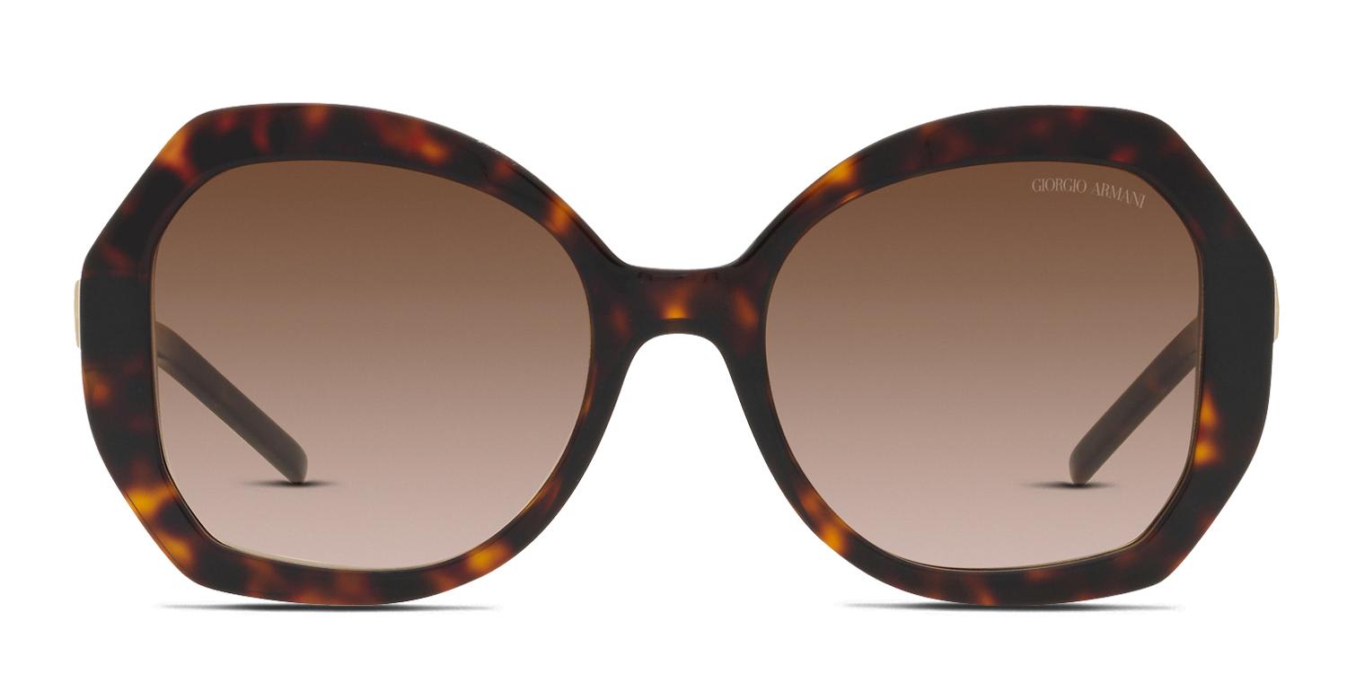 Giorgio Armani AR8180 Tortoise