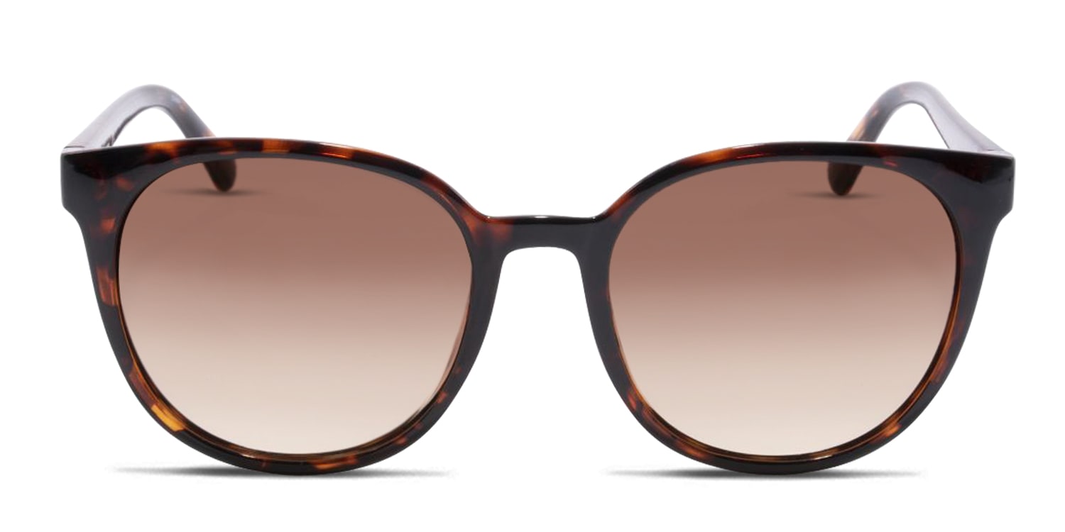 Calvin Klein CK19563S Brown/Tortoise