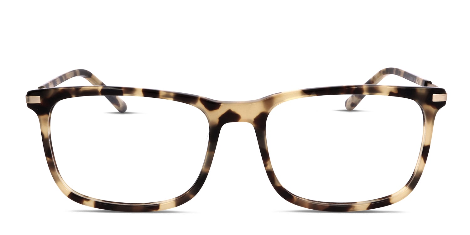 Calvin Klein CK20510 Tortoise