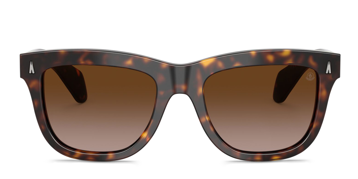 Moncler Me6023 Bronzz Tortoise/brown In Tortoise,brown